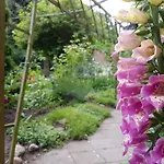 아파트 Doppelhaushaelfte Ostwind Vom Naturhof Usedom Bannemin