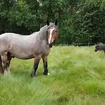 아파트 Doppelhaushaelfte Ostwind Vom Naturhof Usedom Bannemin