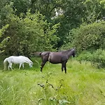 아파트 Doppelhaushaelfte Ostwind Vom Naturhof Usedom Bannemin