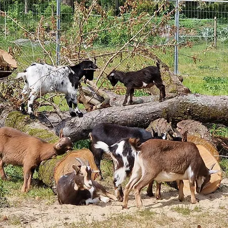 Apartmán Doppelhaushaelfte Ostwind Vom Naturhof Usedom *