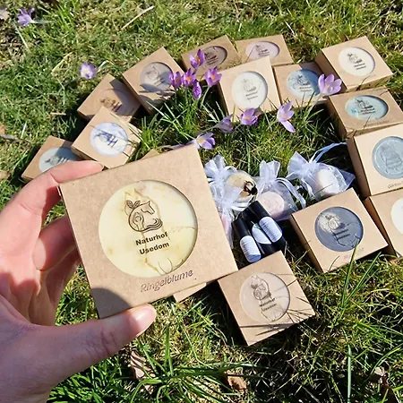 Doppelhaushaelfte Ostwind Vom Naturhof Usedom *