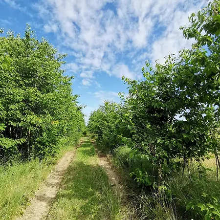 Doppelhaushaelfte Ostwind Vom Naturhof Usedom * Bannemin