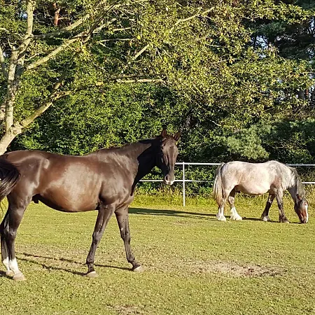 Doppelhaushaelfte Ostwind Vom Naturhof Usedom Apartmán Bannemin