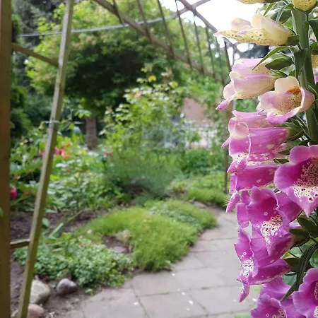 Apartmán Doppelhaushaelfte Ostwind Vom Naturhof Usedom Bannemin