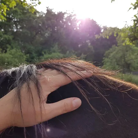 Doppelhaushaelfte Ostwind Vom Naturhof Usedom *