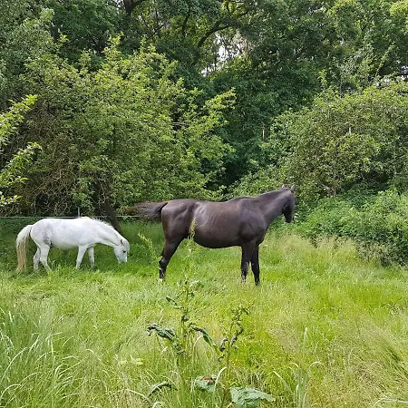 Apartmán Doppelhaushaelfte Ostwind Vom Naturhof Usedom Bannemin