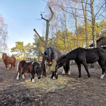 Doppelhaushaelfte Ostwind Vom Naturhof Usedom Bannemin